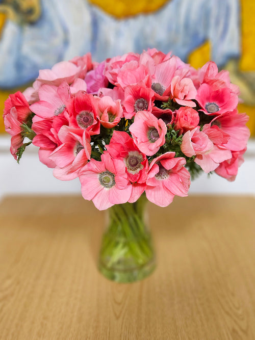 Anemoon Barbie bloembollen kopen