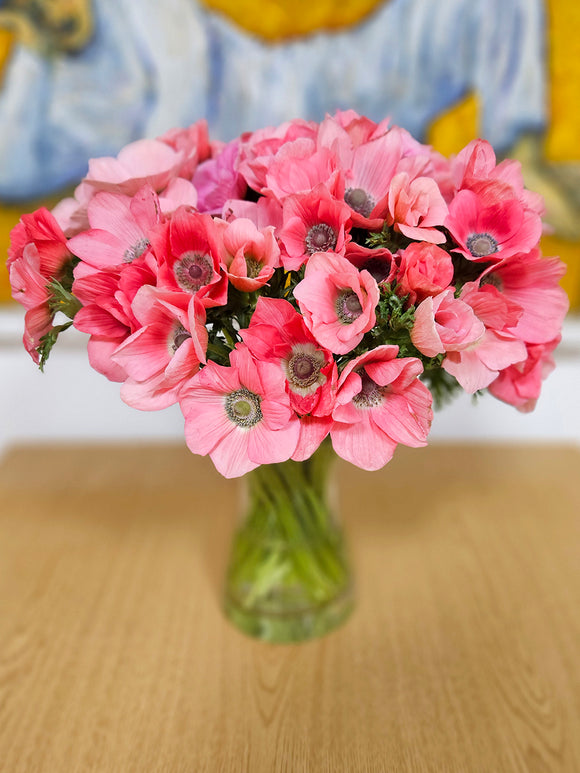 Anemoon Barbie bloembollen kopen