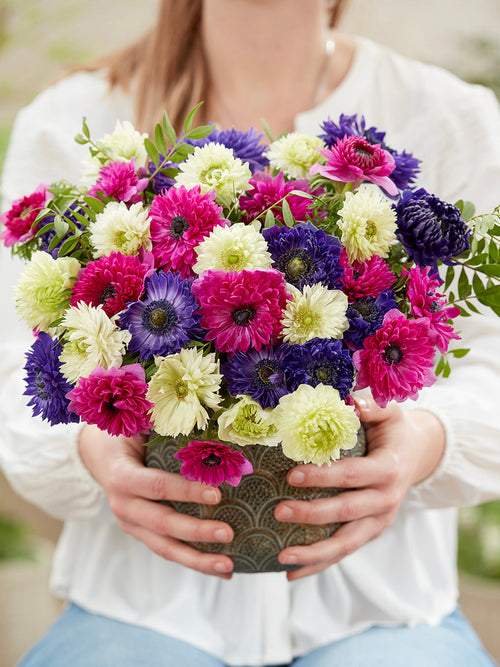 Anemoon Crush On You kollektie anemonen bloembollen