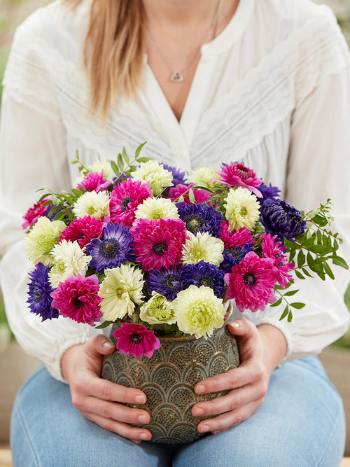 Anemonenbollen kopen Anemoon Crush On You kollektie