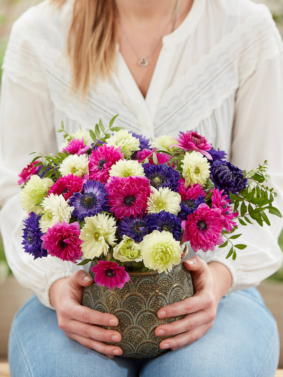 Anemonenbollen kopen Anemoon Crush On You kollektie