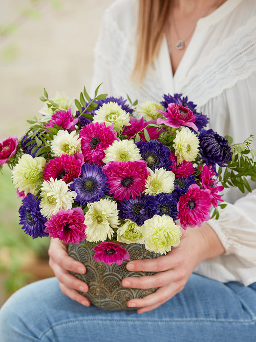 Anemoon Crush On You kollektie Anemonen bollen bestellen