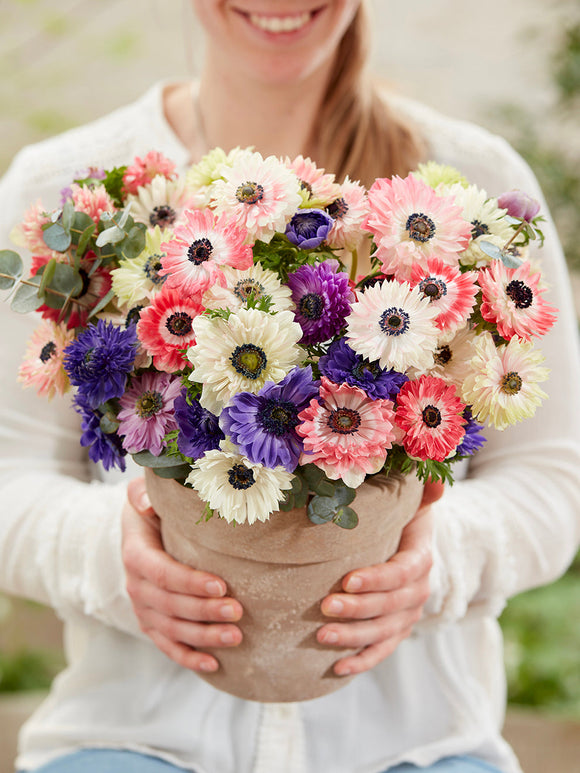 Anemonen bollen Fullstar Mix