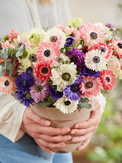 Anemone bollen bestellen Fullstar Mix