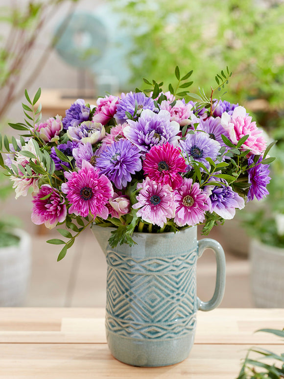 Anemonen Bloembollen Fullstar Pastel Mix Bestellen