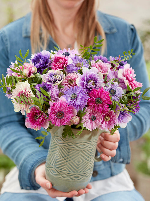 Anemonen Bloembollen Fullstar Pastel Mix Bloembollen