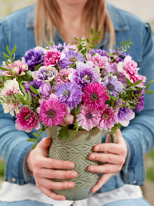 Anemonen Bloembollen Fullstar Pastel Mix Bollen