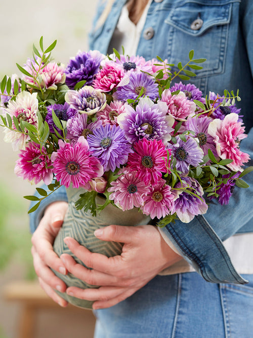 Anemonen Bloembollen Fullstar Pastel Mix Kopen