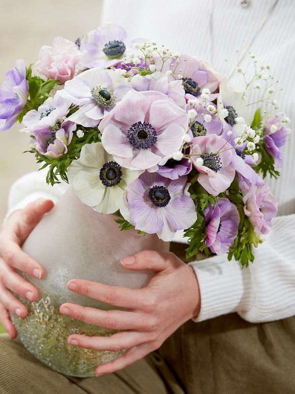 Anemonen bollen Galilee Pastel Mix