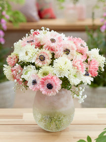 Anemone Strawberry & Cream Collectie