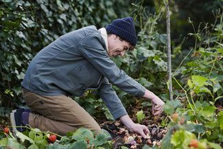 The DutchGrown Blog Hoe plant je bloembollen?