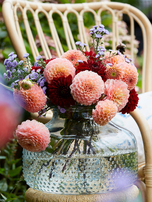 Dahlia Cornel Salmon met gevulde zalmroze bloemen