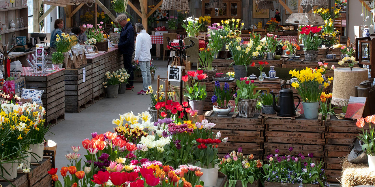 Bloembollen sinds 1882Vier Generaties Nederlandse Kwaliteits Bloembollen Bloembollen sinds 1882Vier Generaties Nederlandse Kwaliteits Bloembollen