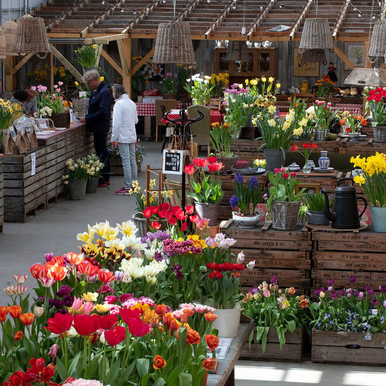 Bloembollen sinds 1882Vier Generaties Nederlandse Kwaliteits Bloembollen Bloembollen sinds 1882Vier Generaties Nederlandse Kwaliteits Bloembollen