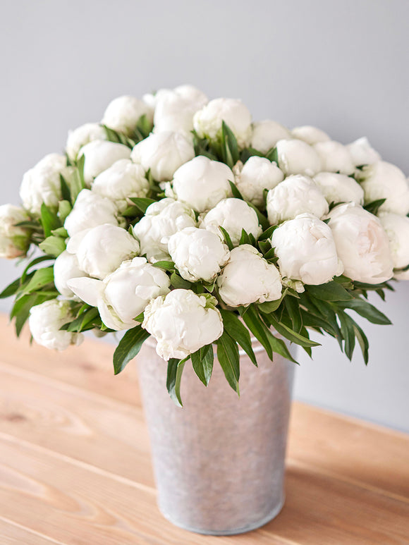 Pioenroos Madame Claude Tain snijbloem