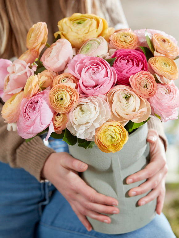 Ranunculus Pauline Pastel Ranunculus - Ranonkel online kopen