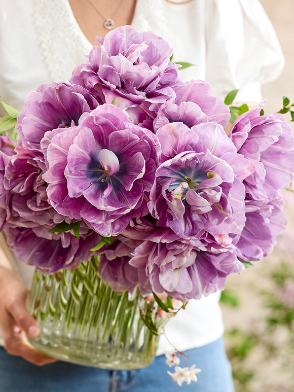 Tulp Dancing Passion