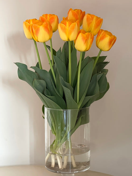 Kopen Tulp Goldfinch bloembol