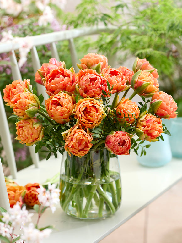 Tulp Orange Flavour Kopen