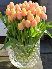 Tulp Mango Charm