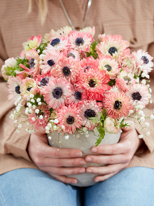 Anemonen bollen Fullstar Strawberry