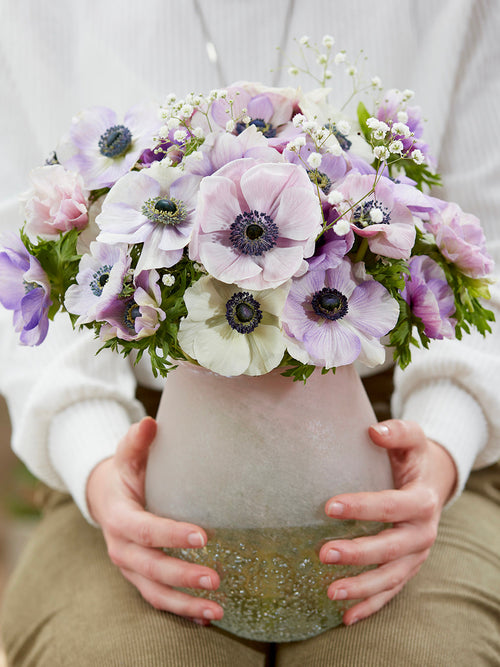 Anemonen bollen Galilee Pastel Mix