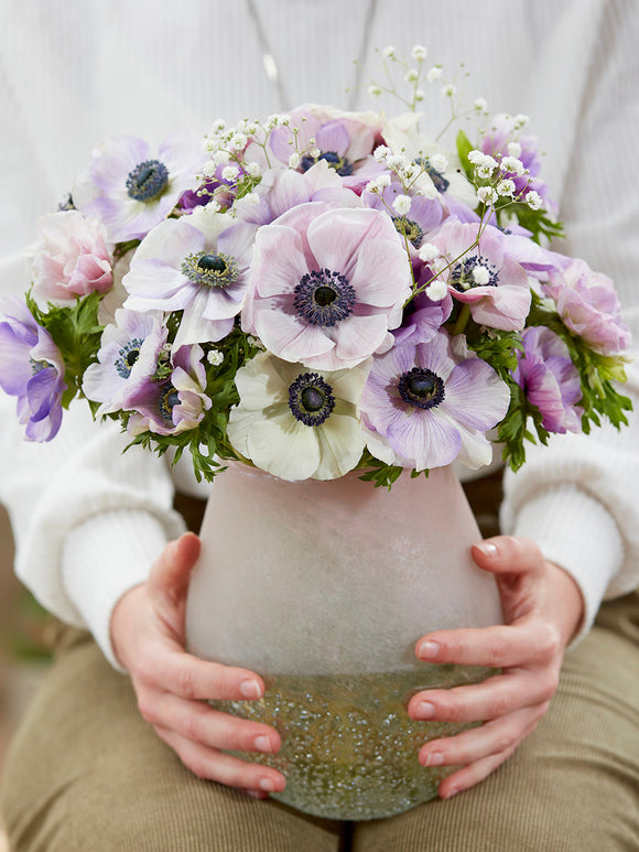 Anemonen bollen Galilee Pastel Mix
