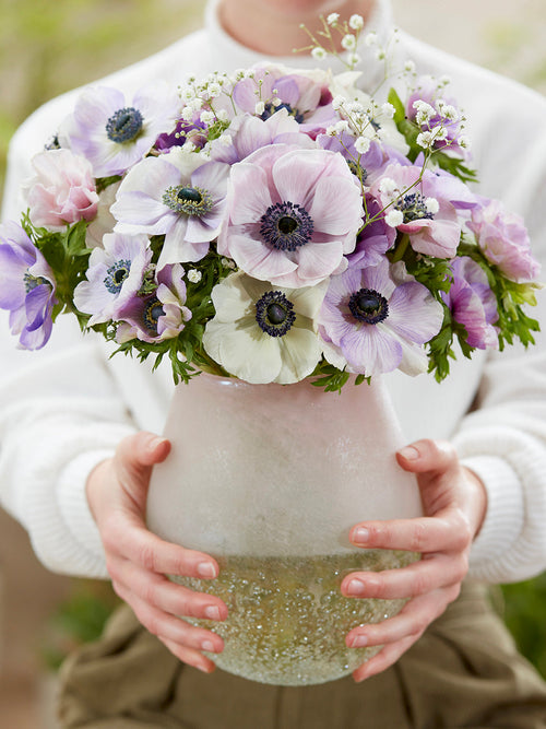 Anemonen bollen bestellen Galilee Pastel Mix
