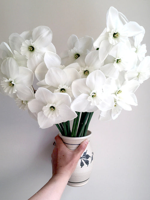 Narcis Green Eyes