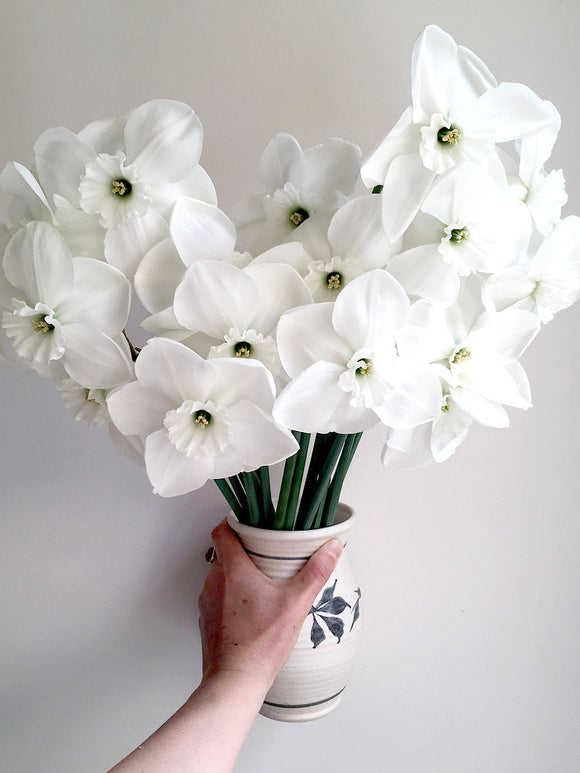 Narcis Green Eyes