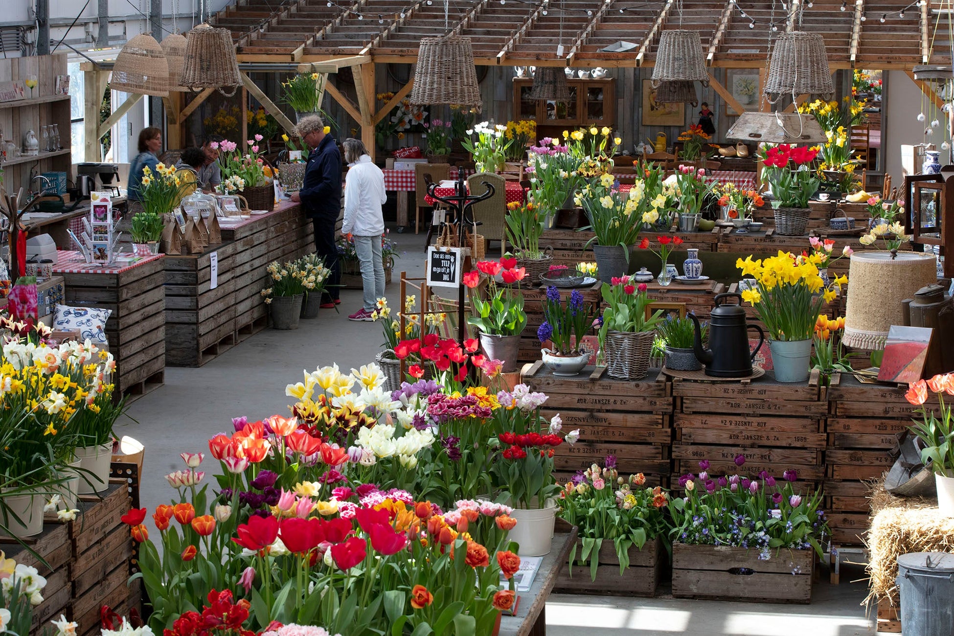 Bloembollen kopen bij dé bloembollenexpert van Nederland DutchGrown™