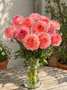 Ranonkel Romance™ Nohant