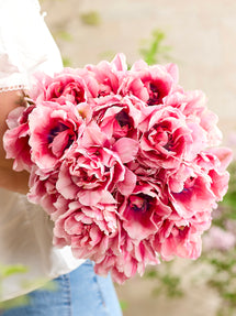 Tulp Precious Pink