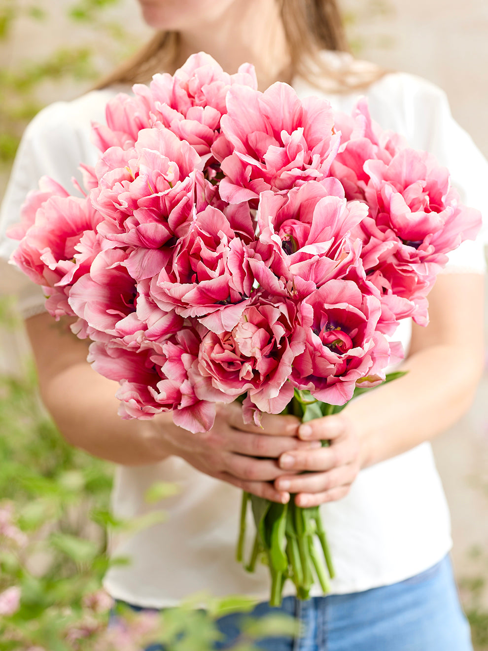Tulp Precious Pink | DutchGrown | Exclusieve Tulpen te koop