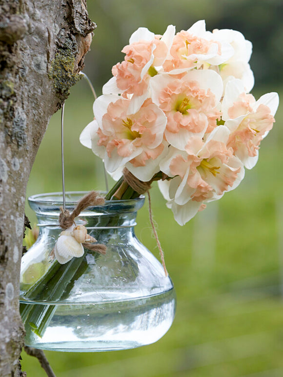 Narcis Mallee bloembollen kopen - DutchGrown